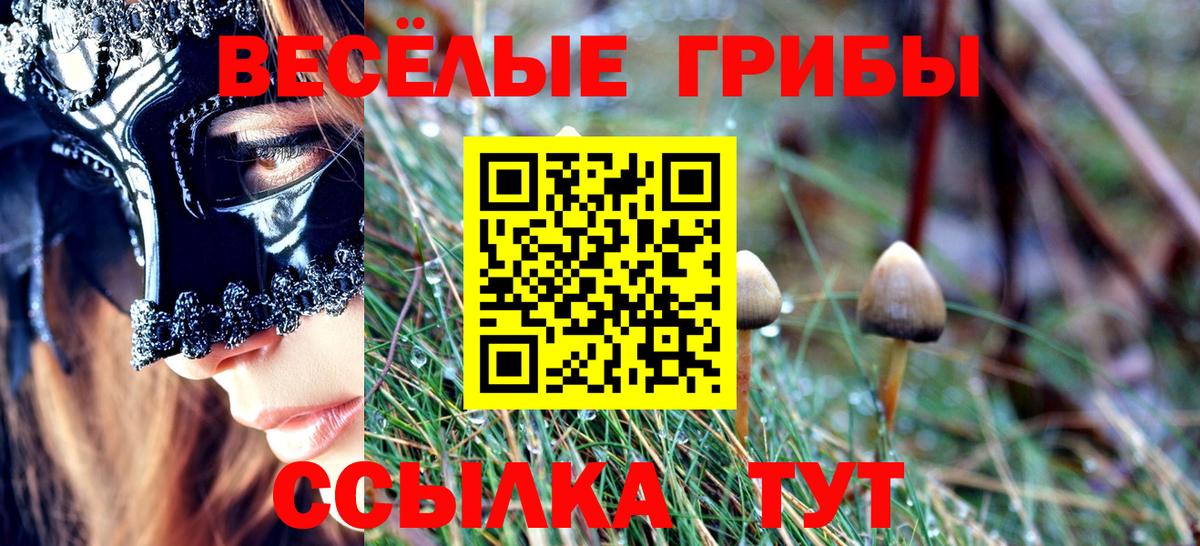 Галлюциногенные грибы Magic Shrooms Кириши
