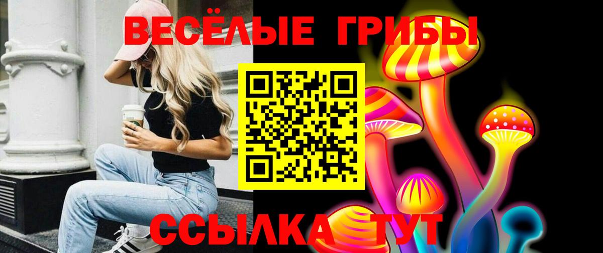 Псилоцибиновые грибы Cubensis  Вход с VPN  Псилоцибиновые грибы Cubensis  купить наркотики цена  Кириши 